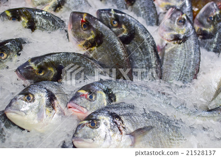 chilled fishes with ice in the market chilled fishes with ice in the market 21528137
