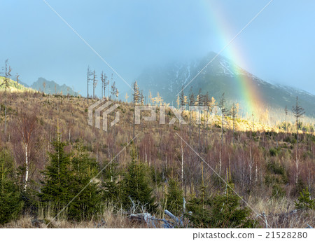 Colorful rainbow in mountain. 21528280