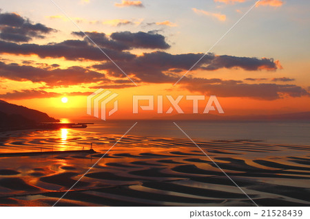 The coast of Okoko 21528439