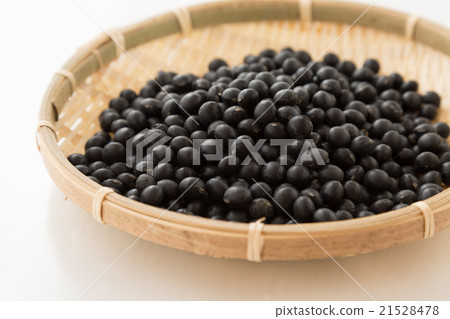 Black soybean white back 21528478