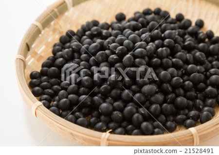 Black soybean white back 21528491
