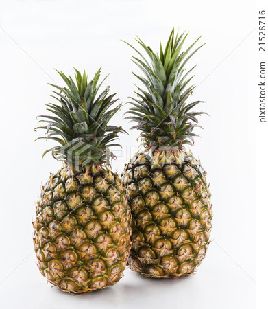 Two pineapples on a white background Two pineapples on a white background 21528716