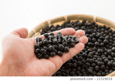 Black soybean white back Black soybean white back 21529019