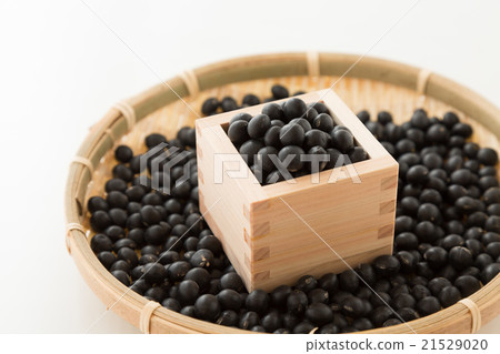 黑豆白背 21529020