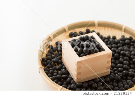 黑豆白背 21529134