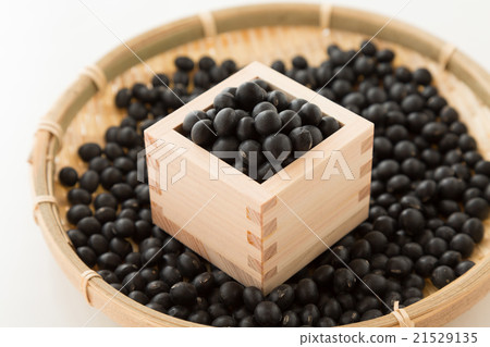 黑豆白背 21529135