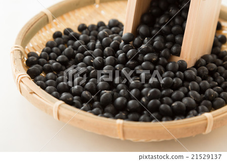 黑豆白背 21529137