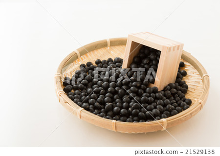 黑豆白背 黑豆白背 21529138