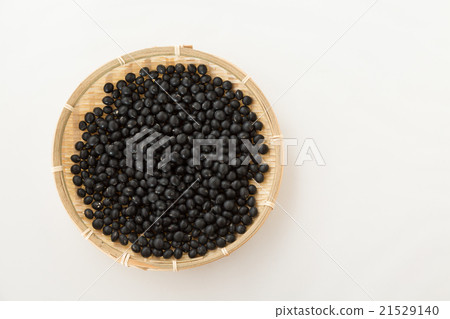 黑豆白背 21529140