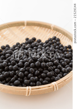 黑豆白背 21529144