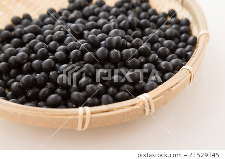 黑豆白背 黑豆白背 21529145