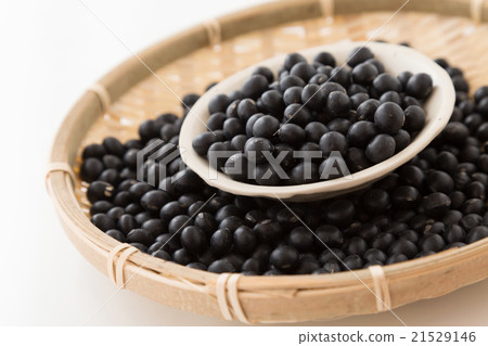 黑豆白背 黑豆白背 21529146