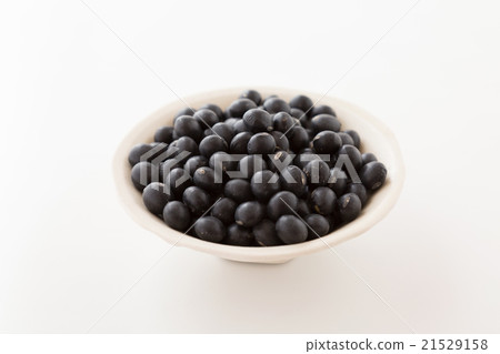 黑豆白背 21529158