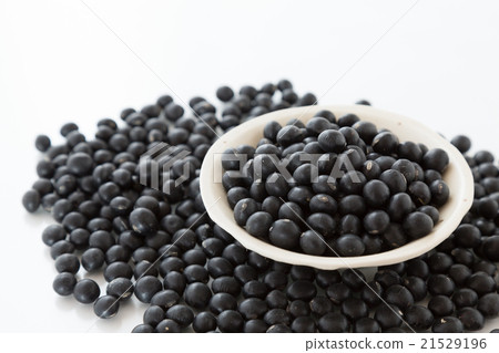 黑豆白背 21529196