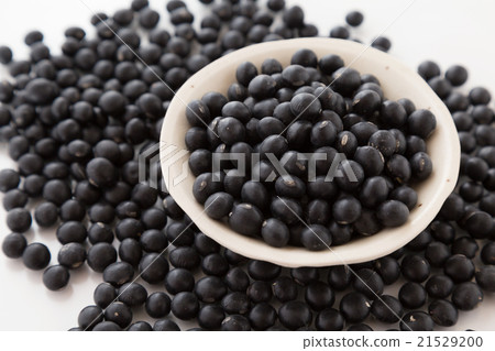 黑豆白背 黑豆白背 21529200