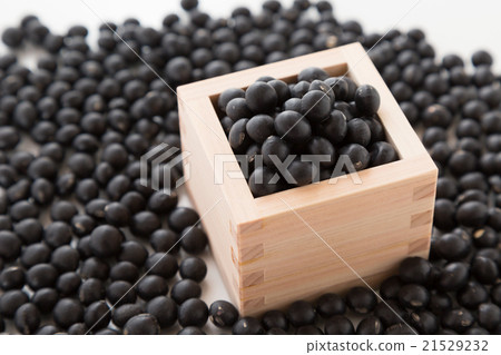 Black soybean white back 21529232