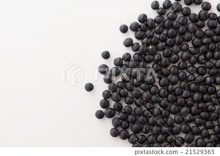 Black soybean white back 21529365