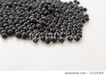 黑豆白背 21529368