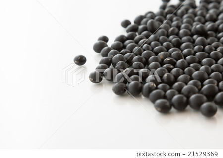 Black soybean white back 21529369