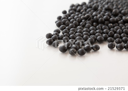 黑豆白背 21529371