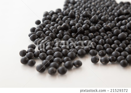 黑豆白背 21529372