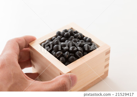 黑豆白背 21529417