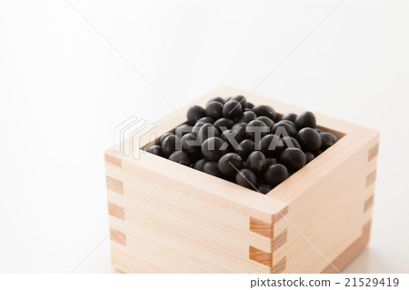 黑豆白背 21529419