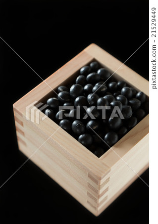 黑豆黑背 21529449