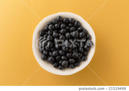 黑豆金背 21529499