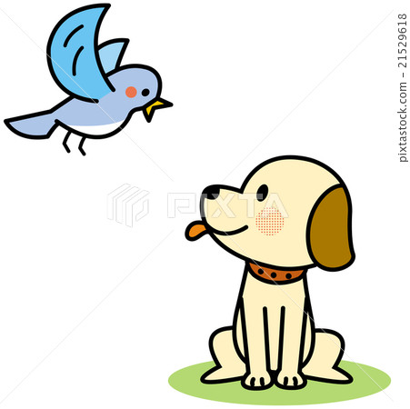 Hello! Hello! 21529618