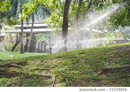 Garden sprinkler on a sunny summer day Garden sprinkler on a sunny summer day 21529856