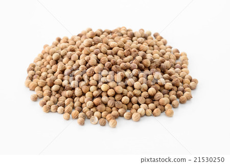 Coriander seed 21530250
