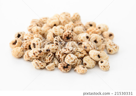 老虎堅果 21530331