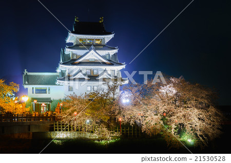 櫻花在黑田城堡的晚上 櫻花在黑田城堡的晚上 21530528