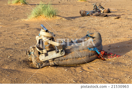 saddle for a camel saddle for a camel 21530963