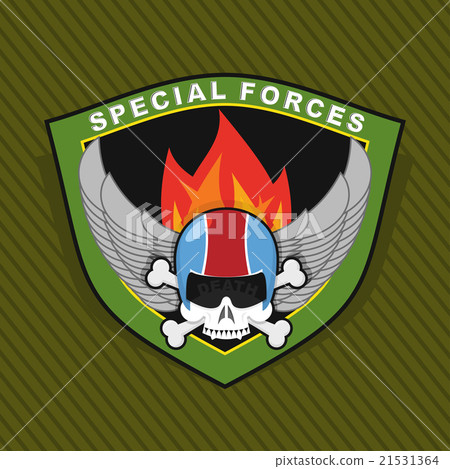Military Emblem with a skull and the weapon, Military Emblem with a skull and the weapon, 21531364
