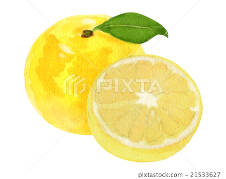 grapefruit  21533627