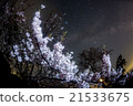 櫻花和銀河系 21533675