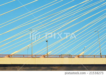 Big Obukhovsky bridge (cable-stayed) 21538273