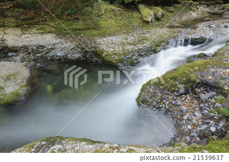 Natural treasure in the two-valley valley "Otaki" Inside the cave It is a rare waterfall where the water falling overflows again and falls. Forest bathing that feels the season Natural treasure in the two-valley valley "Otaki" Inside the cave It is a rare waterfall where the water falling overflows again and falls. Forest bathing that feels the season 21539637