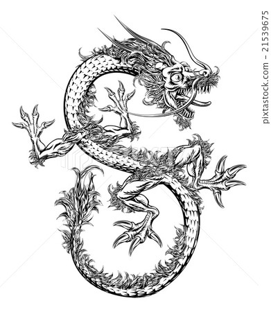 Chinese or Japanese Oriental Dragon Chinese or Japanese Oriental Dragon 21539675