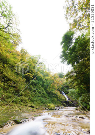 位於Akiho Odori瀑布上游的雙谷山谷，同時觀看Seseragi森林沐浴景觀理想的景觀步行，感受季節V形山谷 21539851