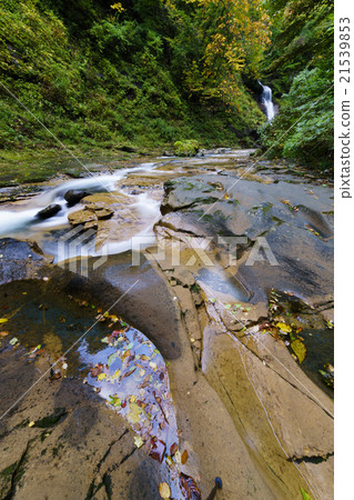 The best scenery for walking to feel the forest bathing season while listening to the two-valley valley Seserago located upstream of Akiho Odaki Falls in a distant view The best scenery for walking to feel the forest bathing season while listening to the two-valley valley Seserago located upstream of Akiho Odaki Falls in a distant view 21539853
