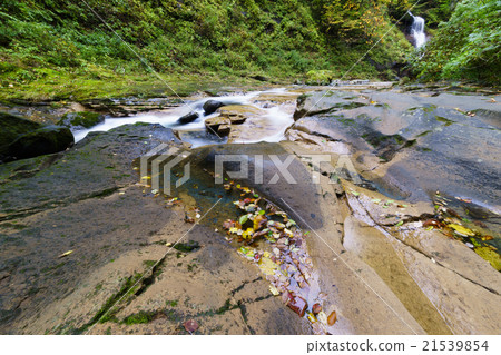 The best scenery for walking to feel the forest bathing season while listening to the two-valley valley Seserago located upstream of Akiho Odaki Falls in a distant view 21539854