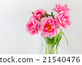 Pink tulips in a glass jar 21540476