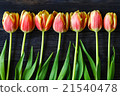bouquet of red and yellow tulips 21540478