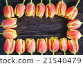 bouquet of red and yellow tulips 21540479