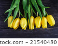 bouquet of yellow tulips 21540480