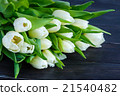 bouquet of white tulip 21540482