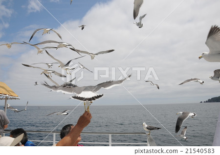 三陸之旅淨土濱遊船 21540583